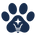 PawGenius - Início
